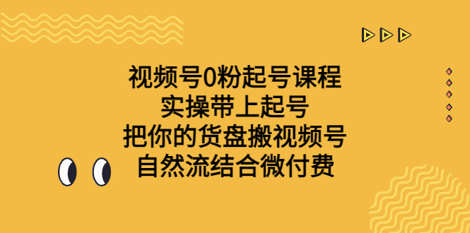 视频号0粉起号课程 实操带上起号 把你的货盘搬视频号 自然流结合微付费插图