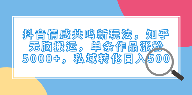 抖音情感共鸣新玩法，知乎无脑搬运，单条作品涨粉5000+，私域转化日入500插图