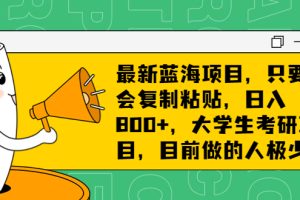 最新蓝海项目，只要会复制粘贴，日入800+，大学生考研项目，目前做的人极少