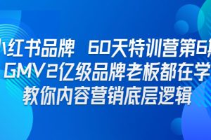 小红书品牌 60天特训营第6期 GMV2亿级品牌老板都在学 教你内容营销底层逻辑