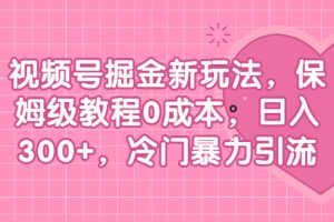 视频号掘金新玩法，保姆级教程0成本，日入300+，冷门暴力引流