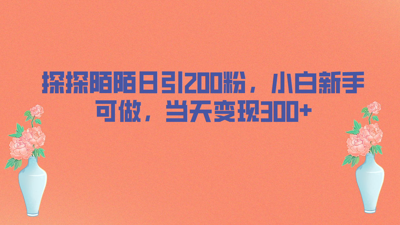 探探陌陌日引200粉，小白新手可做，当天就能变现300+插图