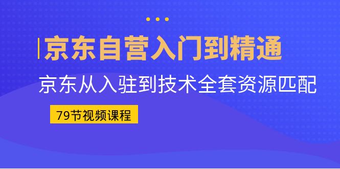 京东自营入门到精通：京东从入驻到技术全套资源匹配（79节课）插图