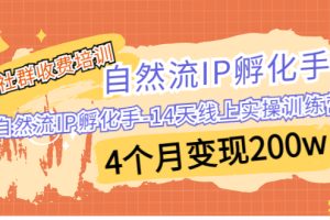 某社群收费培训：自然流IP 孵化手-14天线上实操训练营 4个月变现200w