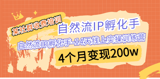 某社群收费培训：自然流IP 孵化手-14天线上实操训练营 4个月变现200w插图