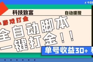 最新田园小游戏协议全自动打金项目，单号收益30+【协议脚本+使用教程】