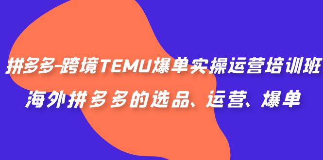 拼多多-跨境TEMU爆单实操运营培训班，海外拼多多的选品、运营、爆单插图