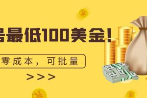 单号最低100美金，零成本，小白无脑操作。可复制，可扩大