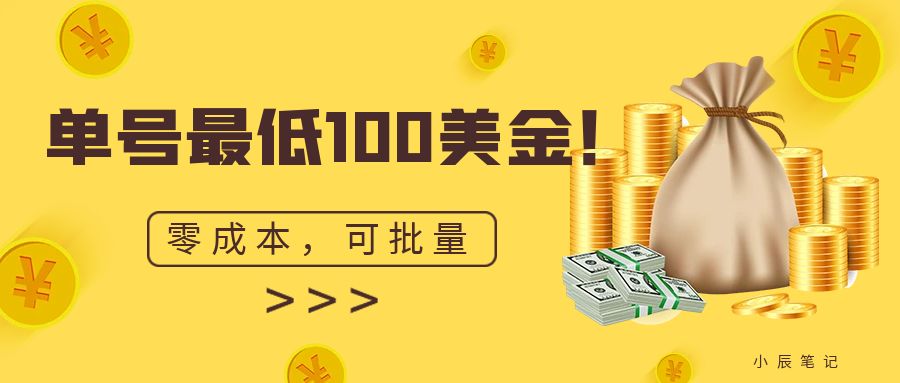 单号最低100美金，零成本，小白无脑操作。可复制，可扩大插图