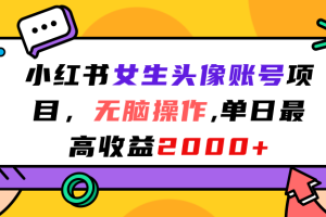 小红书女生头像账号项目，无脑操作“”单日最高收益2000+   [