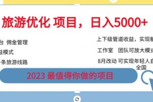 游优化项目，2023最值得你做的项目没有之一，带你月入过万