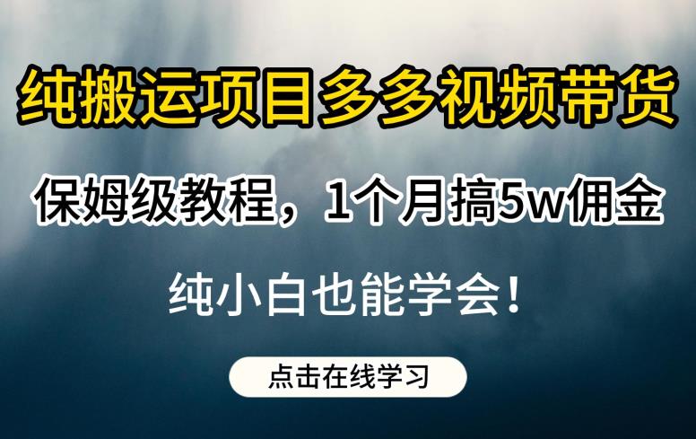 纯搬运项目多多视频带货保姆级教程，1个月搞5w佣金，纯小白也能学会【揭秘】插图