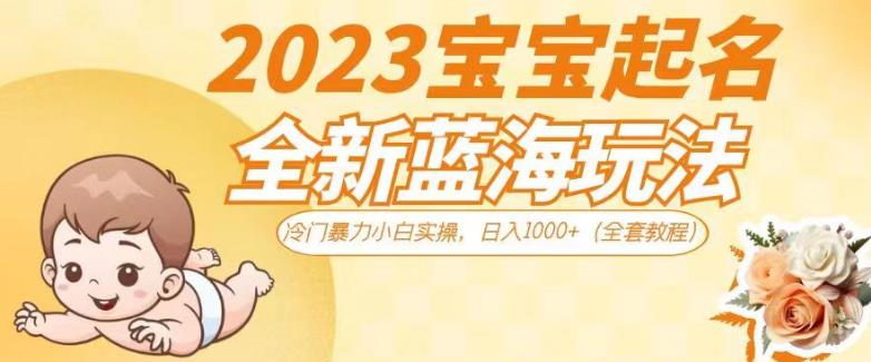 2023宝宝起名全新蓝海玩法，冷门暴力小白实操，日入1000+（全套教程）【揭秘】插图