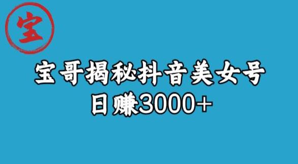 宝哥揭秘抖音美女号玩法，日赚3000+【揭秘】插图