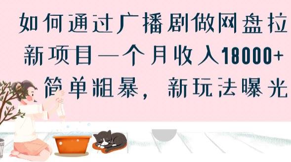 如何通过广播剧做网盘拉新项目一个月收入18000+，简单粗暴，新玩法曝光【揭秘】插图