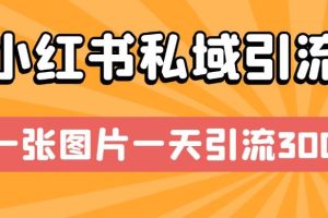 小红书私域引流，一张图片一天引流300+【揭秘】