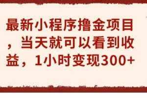 最新小程序撸金项目，当天就可以看到收益，1小时变现300+【揭秘】