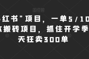 新“小红书”项目，一单5/10元，0成本搬砖项目，抓住开学季，一天狂卖300单【揭秘】