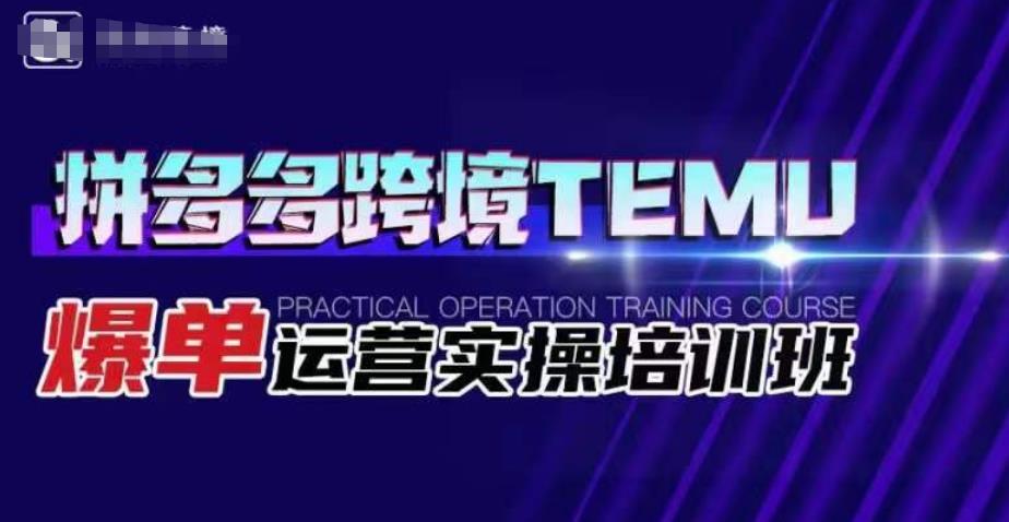 拼多多跨境TEMU爆单运营实操培训班，海外拼多多的选品、运营、爆单插图