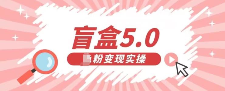 盲盒交友5.0，男粉变现实操项目，亲测变现效果极好【揭秘】插图