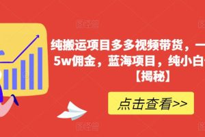 纯搬运项目多多视频带货，一个月搞了5w佣金，蓝海项目，纯小白也能操作