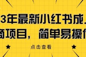 2023年最新小红书成人电商项目，简单易操作【详细教程】