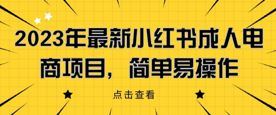 2023年最新小红书成人电商项目，简单易操作【详细教程】插图