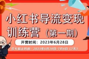 【推荐】小红书导流变现营，公域导私域，适用多数平台，一线实操实战团队总结，真正实战，全是细节！