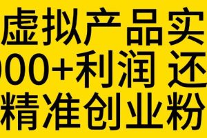 拼多多虚拟产品实操流程，月产5000+利润，还能引流精准创业粉