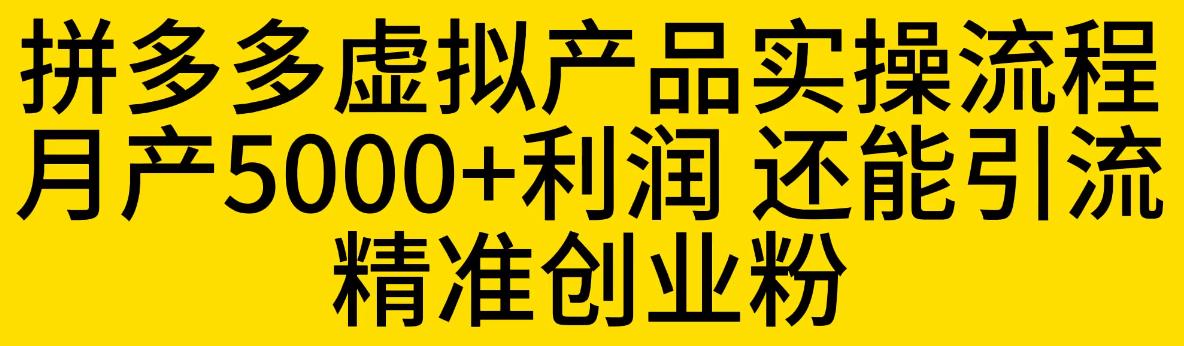 拼多多虚拟产品实操流程，月产5000+利润，还能引流精准创业粉插图