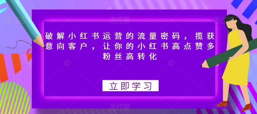 破解小红书运营的流量密码，揽获意向客户，让你的小红书高点赞多粉丝高转化插图