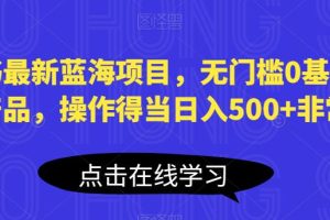 小红书最新蓝海项目，无门槛0基础操作，刚需产品，操作得当日入500+非常简单