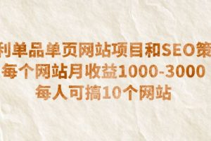 暴利单品单页网站项目和SEO策略 每个网站月收益1000-3000 每人可搞10个