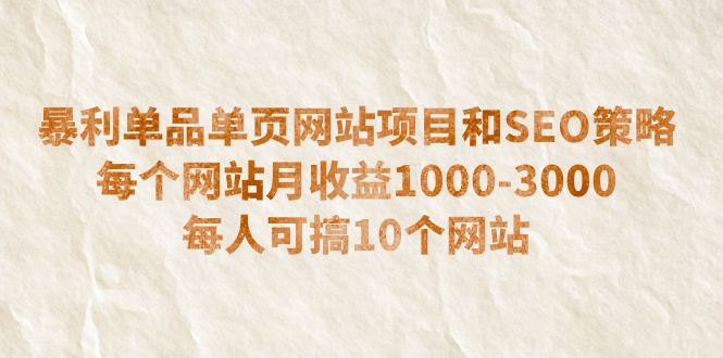 暴利单品单页网站项目和SEO策略 每个网站月收益1000-3000 每人可搞10个插图