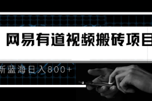 8月有道词典最新蓝海项目，视频搬运日入800+