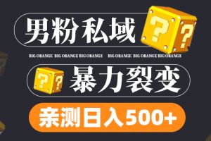 男粉项目，一个作品变现1000+，新渠道新玩法，一部手机实现月入过万