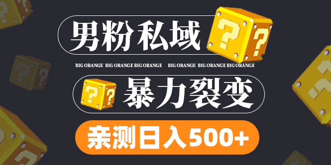 男粉项目，一个作品变现1000+，新渠道新玩法，一部手机实现月入过万插图