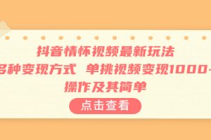 抖音情怀视频最新玩法，多种变现方式，单挑视频变现1000+，操作及其简单