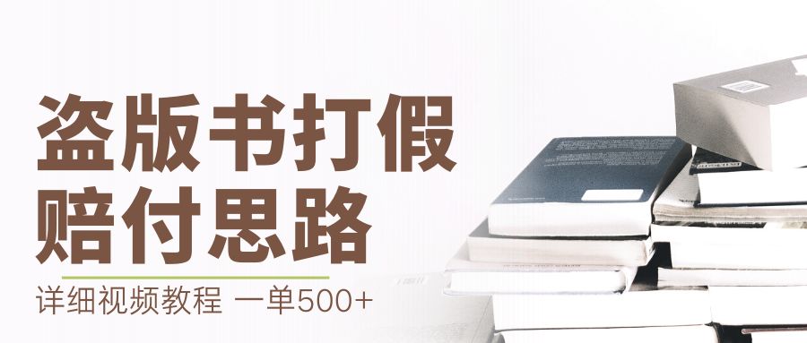 最新盗版书赔付打假项目，一单利润500+【详细玩法视频教程】插图