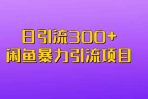 日引流300+闲鱼暴力引流项目