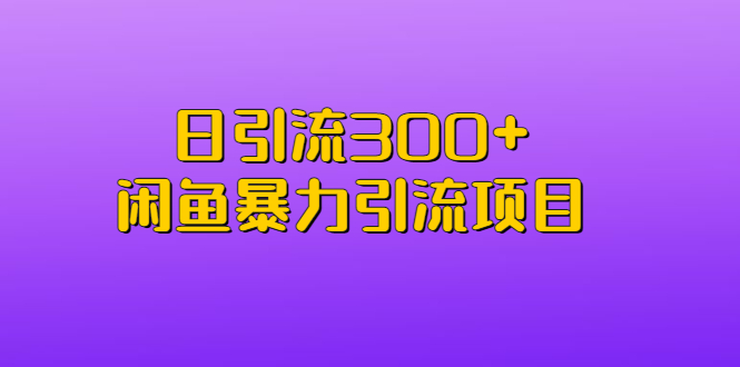 日引流300+闲鱼暴力引流项目插图