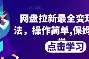 网盘拉新最全变现方法，操作简单,保姆级教学【揭秘】