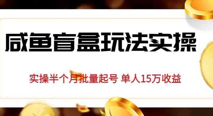 独家首发咸鱼盲盒玩法实操，半个月批量起号单人15万收益【揭秘】插图