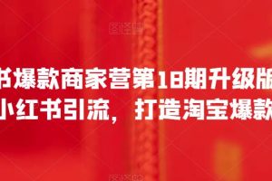 小红书爆款商家营第18期升级版，用小红书引流，打造淘宝爆款