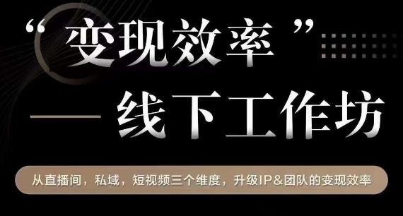 变现效率线下工作坊，从‮播直‬间、私域、‮视短‬频‮个三‬维度，升级IP和团队变现效率插图