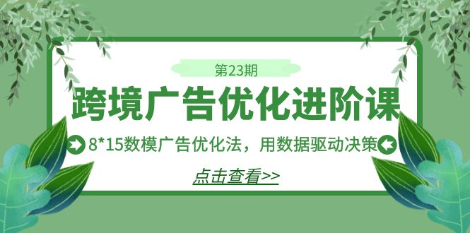 跨境广告·优化进阶课·第23期，8*15数模广告优化法，用数据驱动决策插图