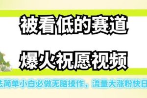 被看低的赛道爆火祝愿视频，玩法简单小白必做无脑操作，流量大涨粉快日入500