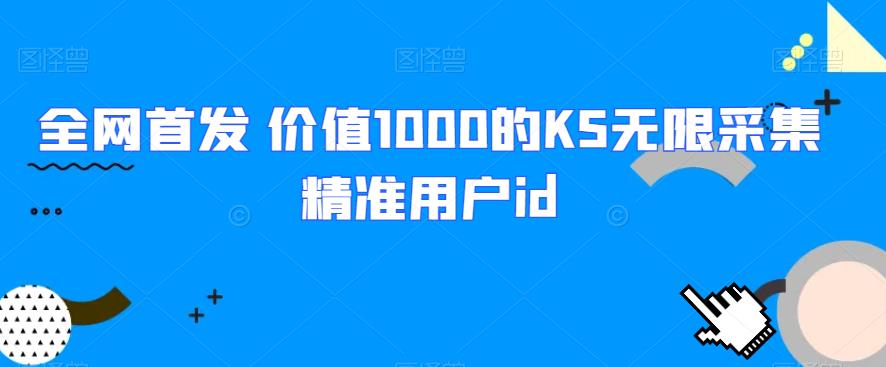 全网首发 价值1000的KS无限采集精准用户id插图