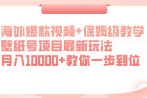 海外爆款视频+保姆级教学，壁纸号项目最新玩法，月入10000+教你一步到位【揭秘】