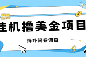 最新挂机撸美金礼品卡项目，可批量操作，单机器200+【入坑思路+详细教程】